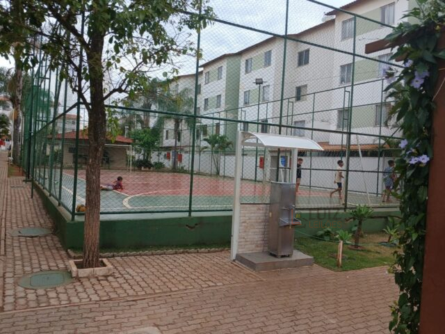 miniatura-4