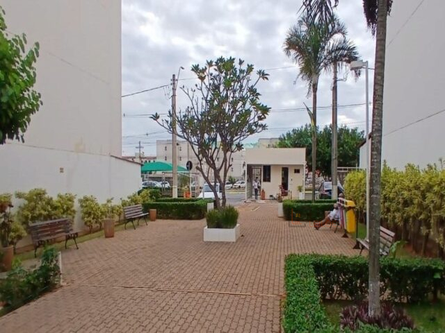miniatura-1